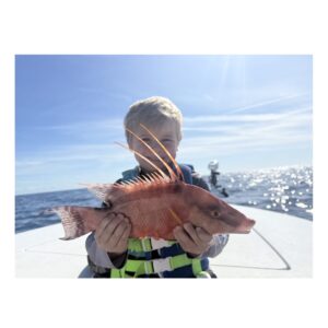 This is a picture of Hogfish on the Skiff and Triple Tail in the mix. Tampa Bay winter fishing at it's best! with Tampa Bay Inshore Fishing Charter