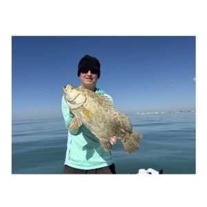 This is a picture of Hogfish on the Skiff and Triple Tail in the mix. Tampa Bay winter fishing at it's best! with Tampa Bay Inshore Fishing Charter